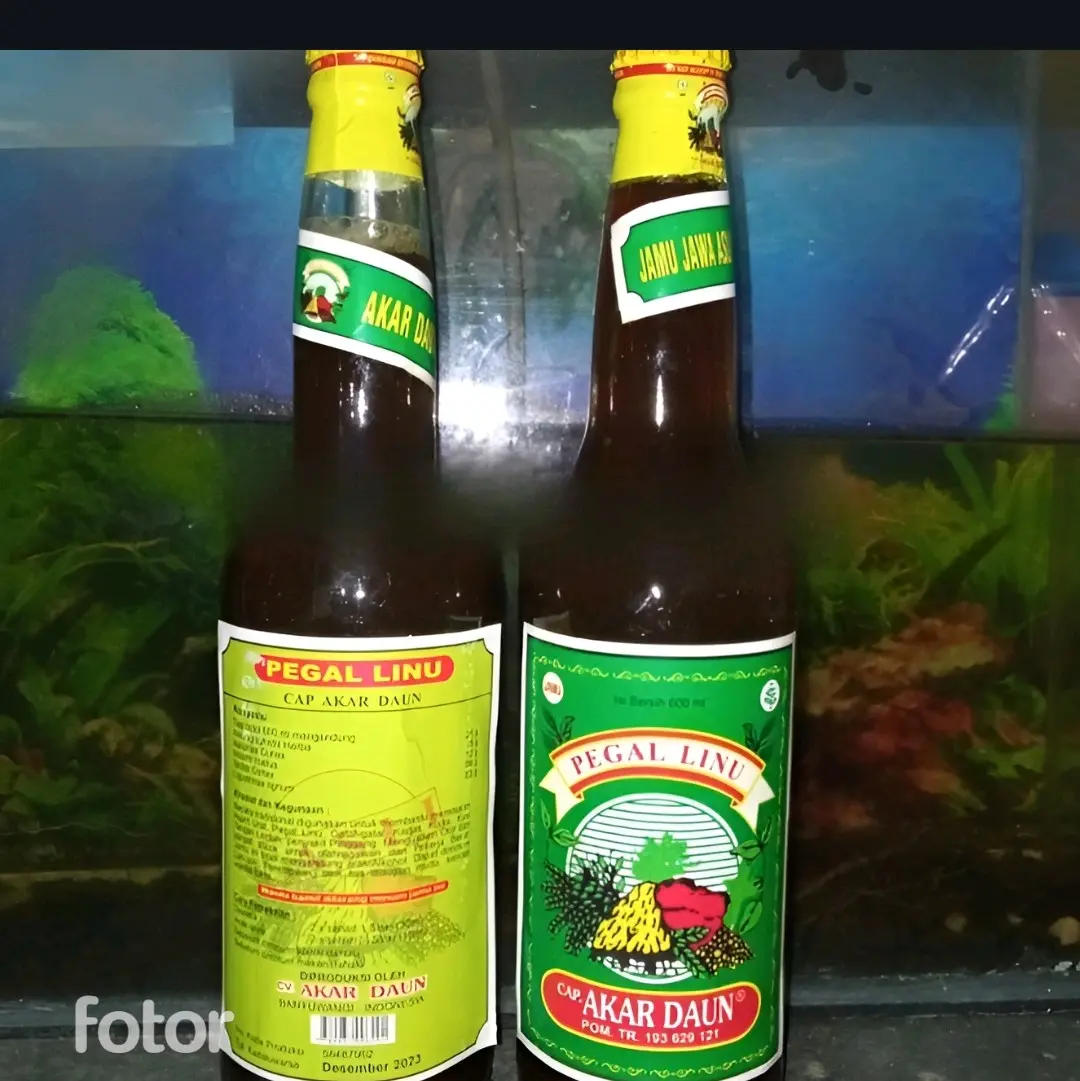 JAMU TRADISIONAL JAWA ASLI cap AKAR DAUN 600ml (manis). PAKET 2 BOTOL LEBIH HEMAT