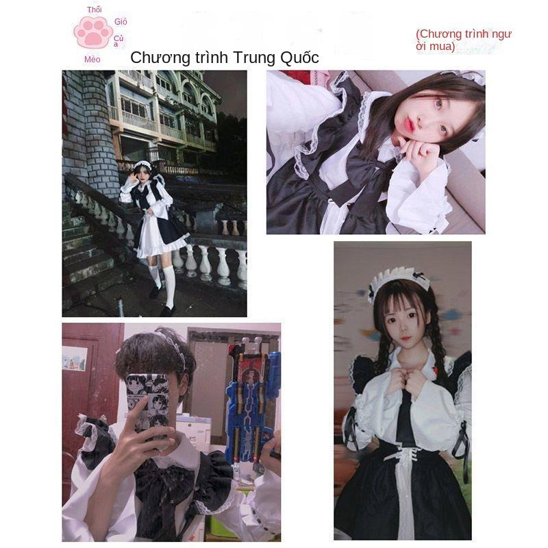 Product Introduction of Váy Hầu Gái, Phong Cách Lolita Dễ Thương Hàng Ngày, Quần Áo Nữ Nhật Bản, Trang Phục Hầu Gái Ông Chủ, Bộ Trang Phục Hầu Gái Mèo Thổi Đầy Đủ 2