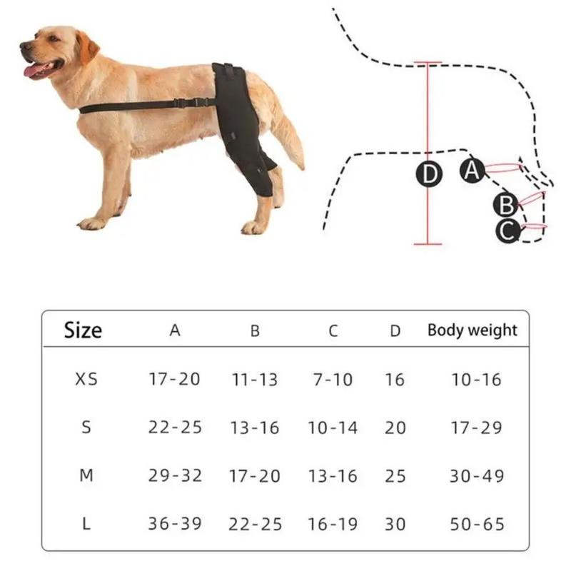 Practical Joint Injury Recovery Pet Knee Pad Knee Hip Joint Protect Torn Hind Leg Legs Protector Cloth 4Size Support Belt Pet 2