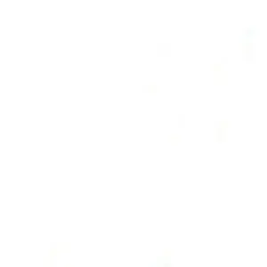 ỐC SALAYA VIỆT NAM