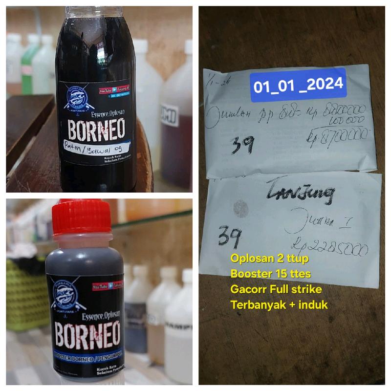 Booster Borneo / Pengumpul Ikan 2