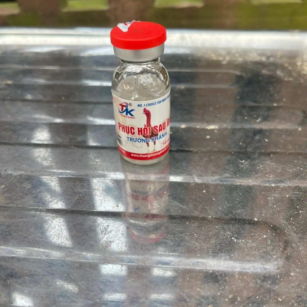 Phục hồi sau đá Trường Khánh