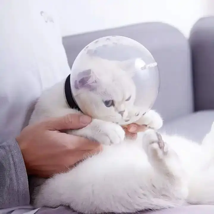 Brongsong Penutup Mulut Hewan Peliharaan Kucing Anti Gigit Astronot Bahan Breathable 2
