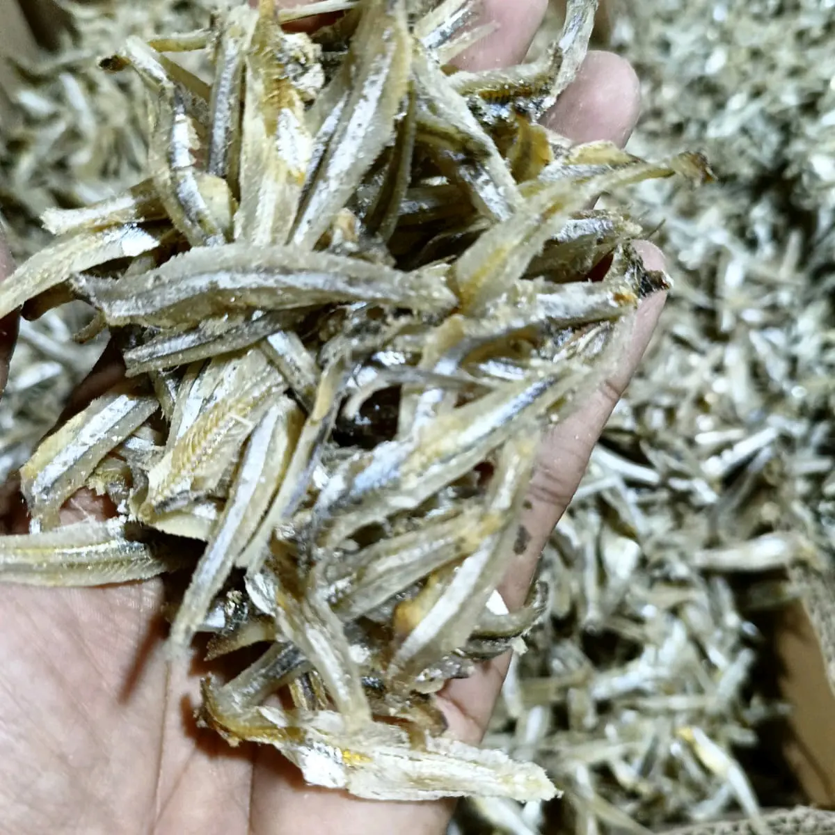 IKAN ASIN TERI JENGKI BELAH SUPER (KERING) Food