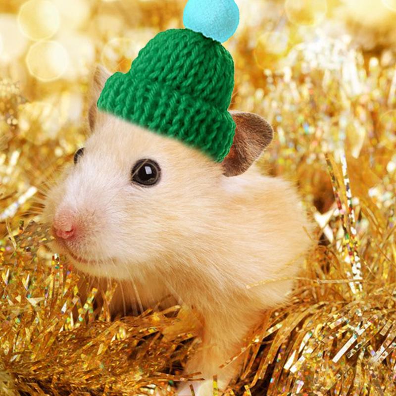 Snake Hat Guinea Pig Hat Hamster Hat with Adjustable Chin Strap for Chinchilla Ferret Hedgehogs Small Animal Outfit Suit Cosplay #436289 4