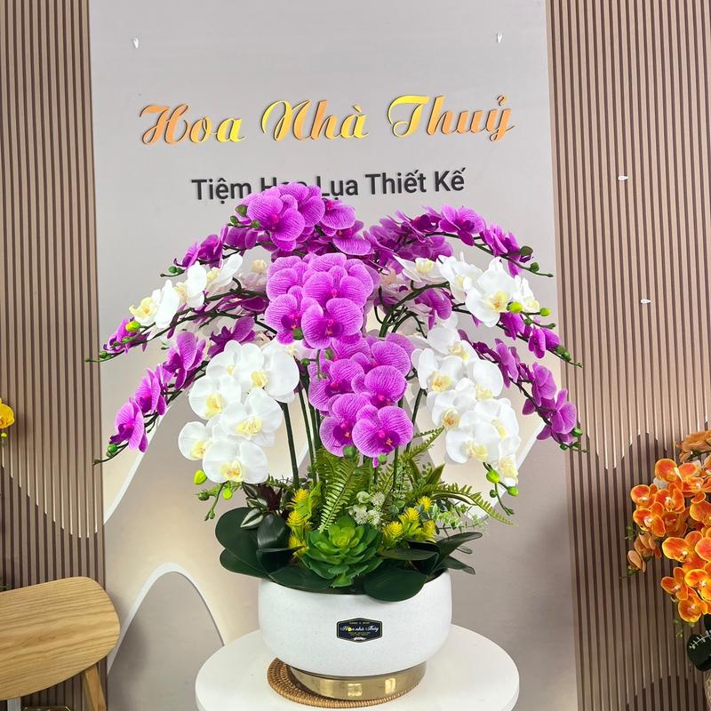 Chậu Lan hồ điệp 21-1c 9b cao su cánh ướt Dòng hoa và chậu sứ nhập cao cấp Decor Decor Phòng Trang Trí Nhà