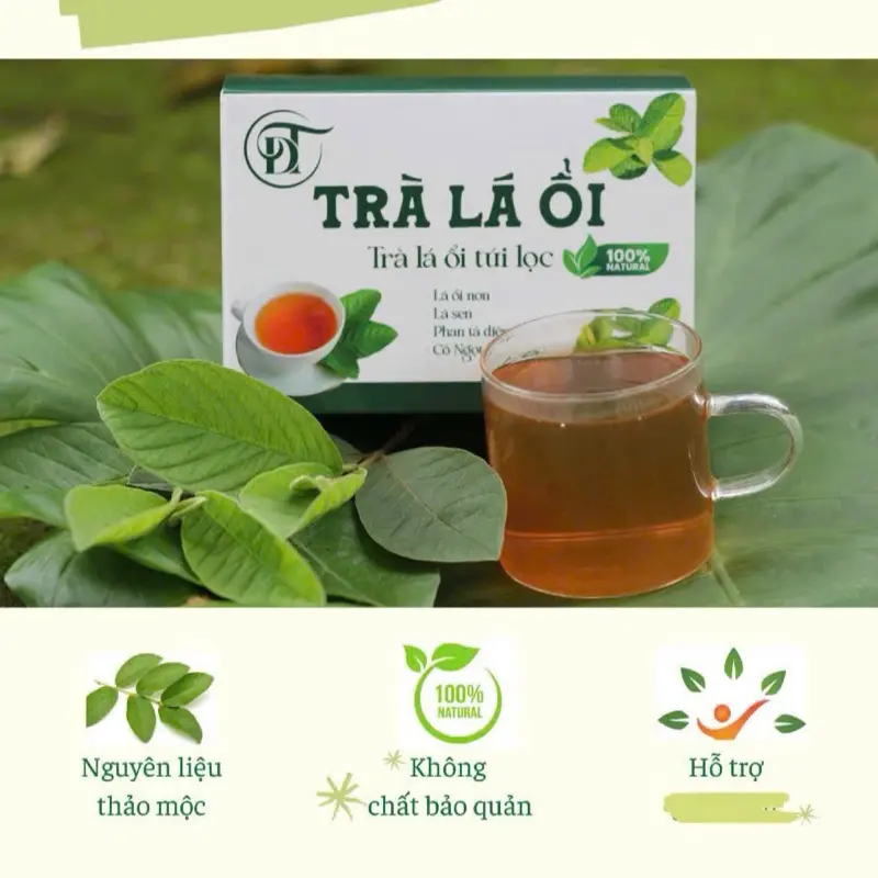 TRÀ LÁ ỔI túi lọc THANH NHIỆT NHUẬN TRÀNG 0