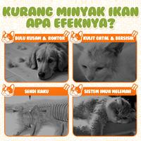Gambar Cassiel Pet Suplemen Omega3 Minyak Ikan Anjing/Kucing - Nutrisi Bulu, Imun, Mata, Kulit, Nafsu Makan - 300ml dari CASSIEL-PET ID Kota Administrasi Jakarta Barat 2 Tokopedia