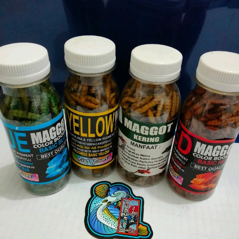 Maggot kering pakan ikan predator color booster 0