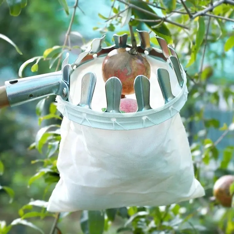 6m Tongkat Buah Alat Pemetik Buah Teleskopik Pemanen Buah Alat Pemetik Buah Fruit Picker 6