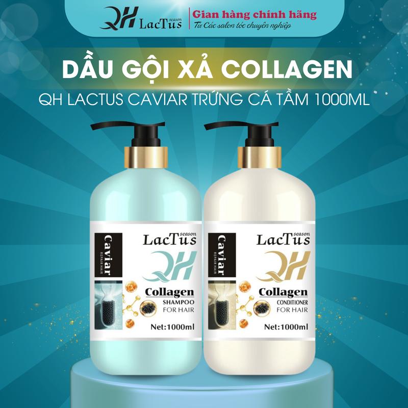 Combo dầu gội dầu xả collagen caviar QH lactus season 1000ml
