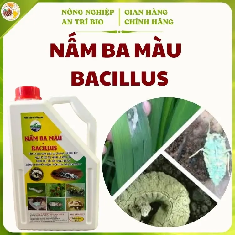 Phân bón sinh học NẤM 3 MÀU BACILLUS phòng ngừa Côn Trùng- Can 2 Lít 0