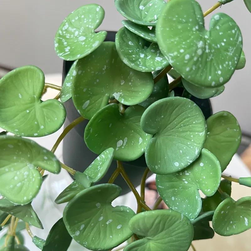 Product Introduction of Artificial Plant Mini Bouquet Copper Coin Grass Soft Glue Fake Green Plants Wall Hanging For Home Office Garden Decoration Decorative Fruit Ornaments Light 11