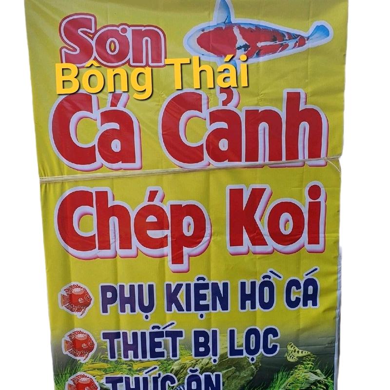 Decan ( KIM NGÂN, KIM SƠN ) hình quảng cáo siêu kute Decor Decal ( Cá cảnh ) 6