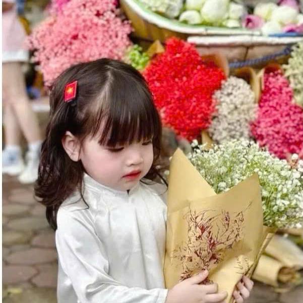 Kẹp tóc lá cờ việt nam  kẹp tóc cờ đỏ sao vàng yêu nước [ V201 ] 3