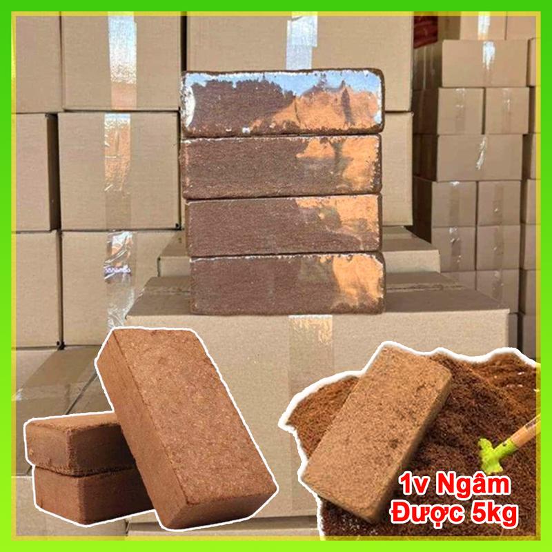 Combo 5 viên nén xơ dừa, Đất hữu cơ trồng cây và ươm hạt giống