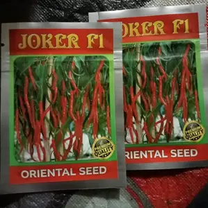 10gr biji/benih cabe joker tahan virus, tidak mudah keriting, berbuah lebat Benih