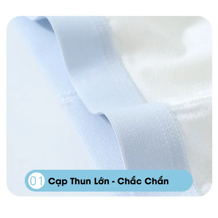 12-40 kg Set 4 Quần Chip bé trai thông hơi thoáng khí cao cấp, Quần chip xe, khủng long cho bé trai Len 6