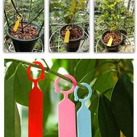 Gambar Vixplorn Label Tanaman Gantung Penanda Nama Anti Air Name Tag Plant Marker Waterproof/Tag Nama Tanaman Tahan Air / Name Tag Pohon - hijau-100pcs dari Vixplorn Kab. Tangerang 4 Tokopedia