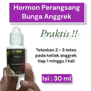 HORMON BAP BUNGA ANGGREK AGAR CEPAT BERBUNGA