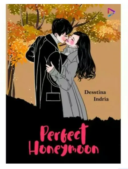 NOVEL Perfect Honeymoon Soft Cover
