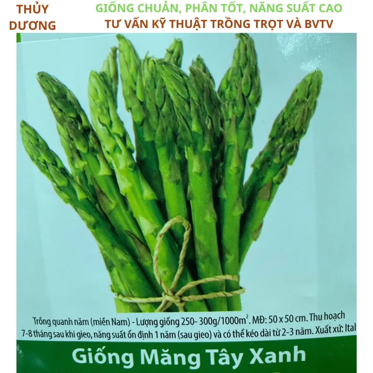Hạt giống măng tây xanh - kèm giấy HD trồng trọt, gói 0.5g (25-30 hạt) trồng quanh năm