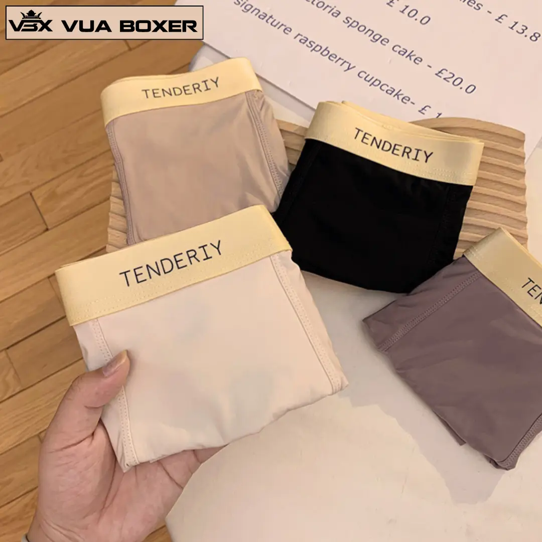 Sét 4 Quần Sịp Nam Boxer Tende Thun Lạnh Cao Cấp Quần Xì Nam Co Dãn Đàn Hồi Mềm Mịn Mát Vuaboxer Menswear Quần Boxer Quần Lót Quầnlót