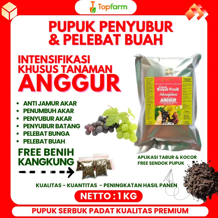 PUPUK Serbuk PENYUBUR Pohon ANGGUR, PELEBAT BUAH ANGGUR, PEMBESAR BUAH ANGGUR dari TOPFARM - Pupuk Tanaman Anggur / Penyubur Tanah