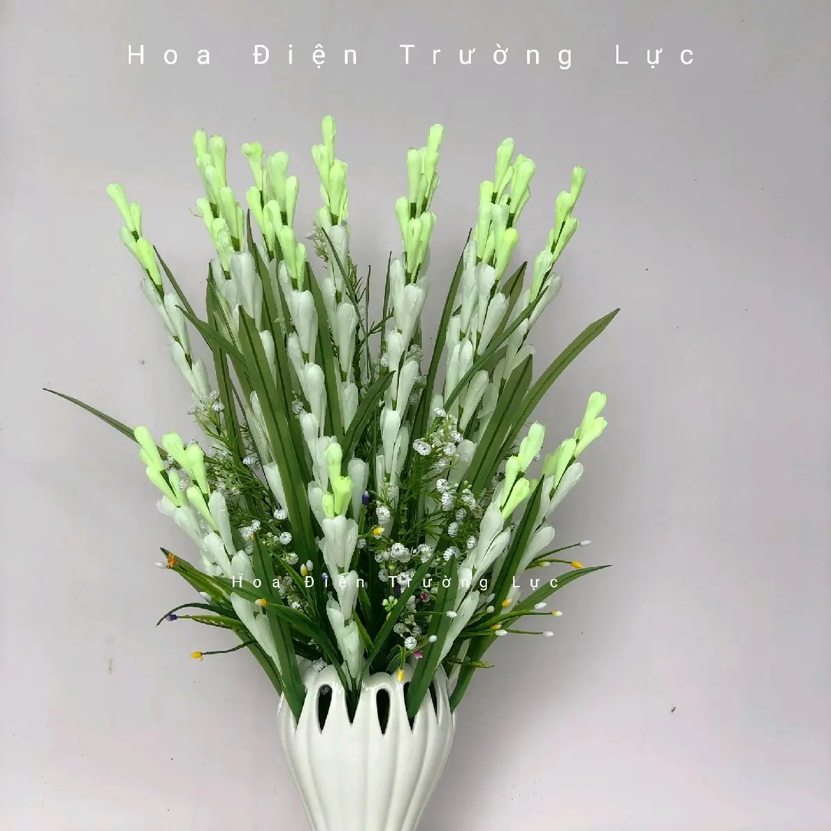 Huệ giả,huệ trắng trang trí phòng