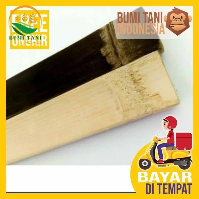AJIR BAMBU HITAM Bambu Wulung Untuk Kerajinan Dan Kandang Tanaman Pupuk