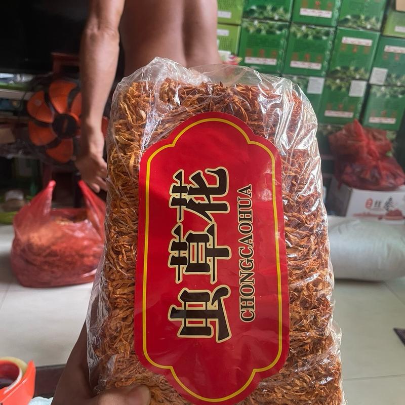 Bông Đông Trùng Hạ Thảo sấy khô 1
