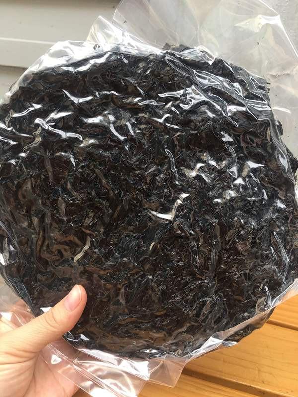 Product Introduction of Rong Biển Khô (Rong Mứt) Đặc Sản Nha Trang – Dùng Nấu Canh, Rang Cháy Tỏi Ăn Liền, Giòn Ngon, Đậm Vị Biển, Dễ Chế Biến, Thực Phẩm Dinh Dưỡng Cho Cả Gia Đình, Phù Hợp Mọi Bữa Ăn 12
