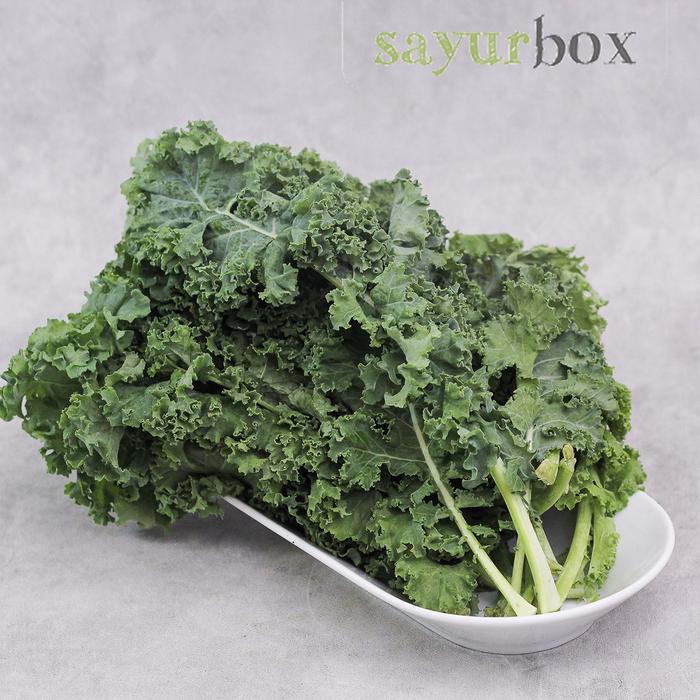Gambar Curly Kale Konvensional 200 gram Sayurbox dari Sayurbox Kab. Bogor Tokopedia