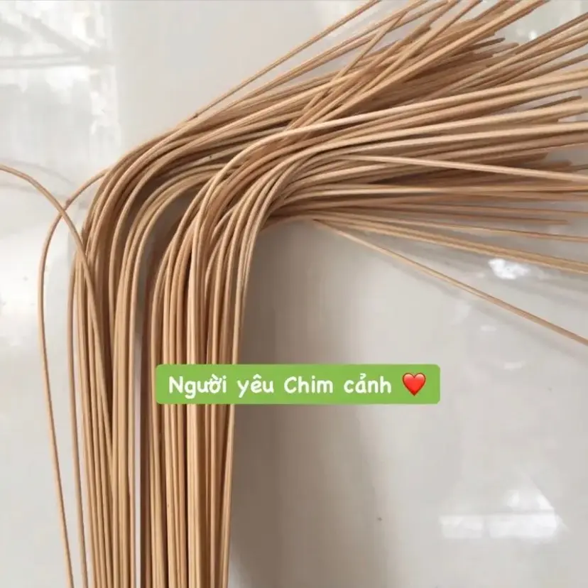 60 Nan công lồng khuyên 1,6 li uốn sẵn (60 nan công dài 35cm)