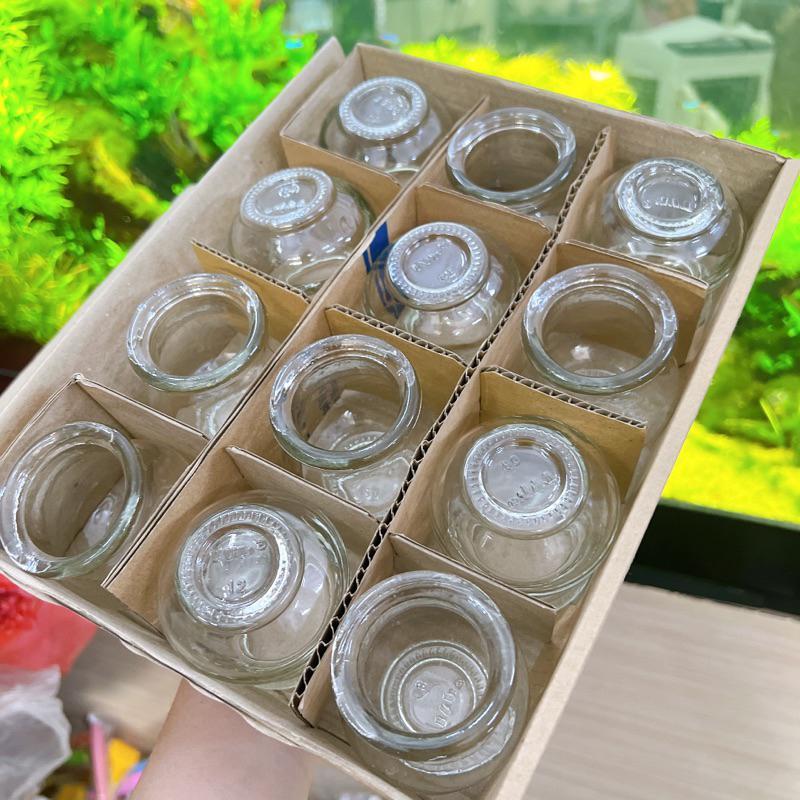 Bộ 12 ống giác hơi - Bộ vắt hơi thuỷ tinh Cao Cấp tiện dụng bo