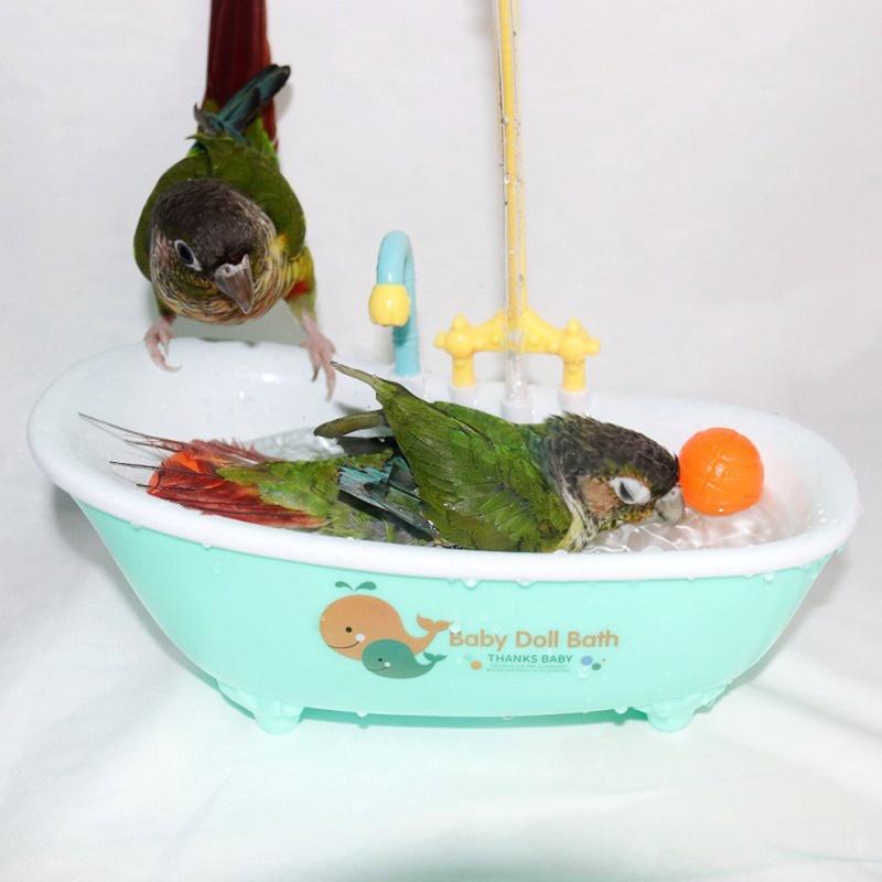 Bồn Tắm Tắm Cho Chim, Bồn Tắm Tự Động, Thích Hợp Cho Vẹt Nhỏ Và Trung Bình Và Lovebird 8