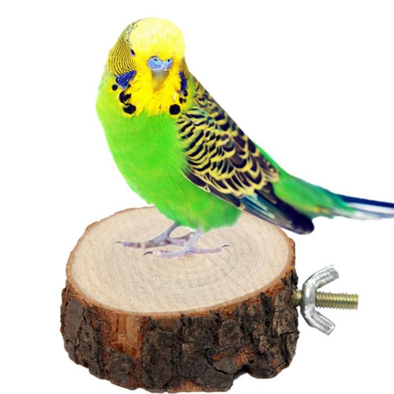 Apple wooden parrot bird perch frame platform round 4