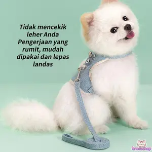 Tali Kekang Dada Baru, Rompi Tali Kekang Beruang Kartun, Tali Kekang Anjing, Kucing, dan Kelinci, Tali Kekang Hewan Peliharaan yang Dapat Disesuaikan, Aman dan Nyaman untuk Jalan-Jalan