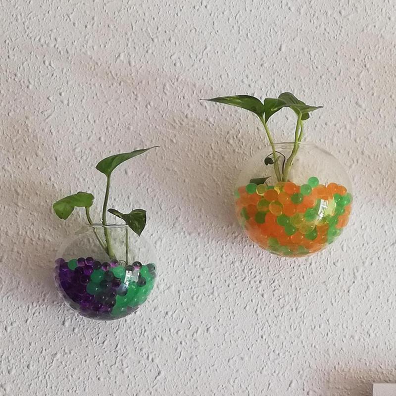 Bình Hoa Kính Treo Tường, Phong Cách Terrarium, Lò Xo Treo Tường, Chậu Cá, Thích Hợp Cho Bể Cá, Đồ Trang Trí Hoa, Trang Trí Nhà Cửa 4