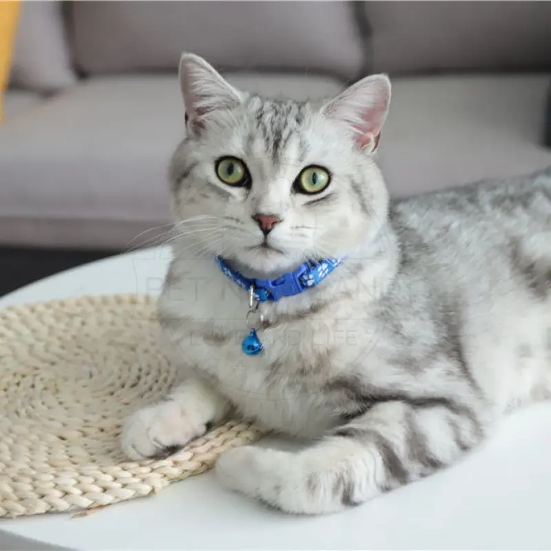 Kalung Kucing Lonceng Hewan Peliharaan Tali Leher Anjing Kecil Lonceng Pet Collar Dog Kitten Adjustable Motif Tapak Kaki Murah Import 1