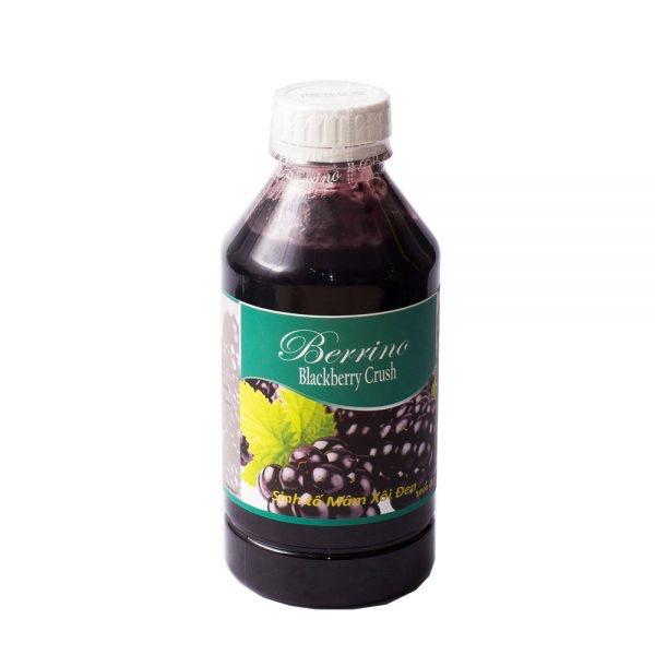 Product Introduction of Sinh tố Mứt Berrino chai 1 Lít các vị 10