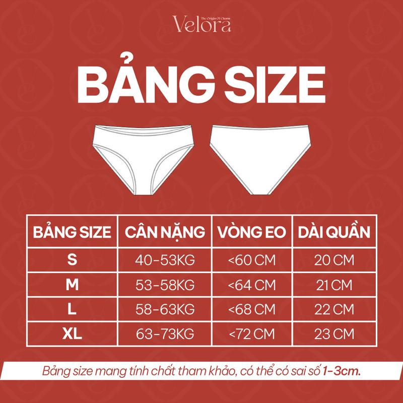 Product Introduction of [Combo 5 ] Quần Lót Su Cheeky Tam Giác Mỏng Nhẹ, Thoáng Mát, Không Viền, Đàn Hồi Thoải Mái - VELORA Nữ Women 0