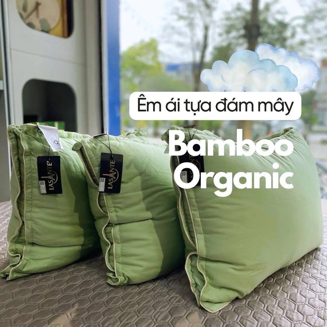 Ruột gối nằm Pháp Bamboo Lasante' Organico màu xám vải Modal gỗ sồi 100% tự nhiên êm ái,mịn màng,sang trọng, nâng trọn giấc ngủ