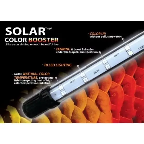 ĐÈN SOLAR COLOR CHO CÁ LÓC CÁ RỒNG -Neo Helios Solar Color Booster RGB. Chuyên dùng cho Cá Lóc Cảnh,cá rồng… và các loại cá khác. 5