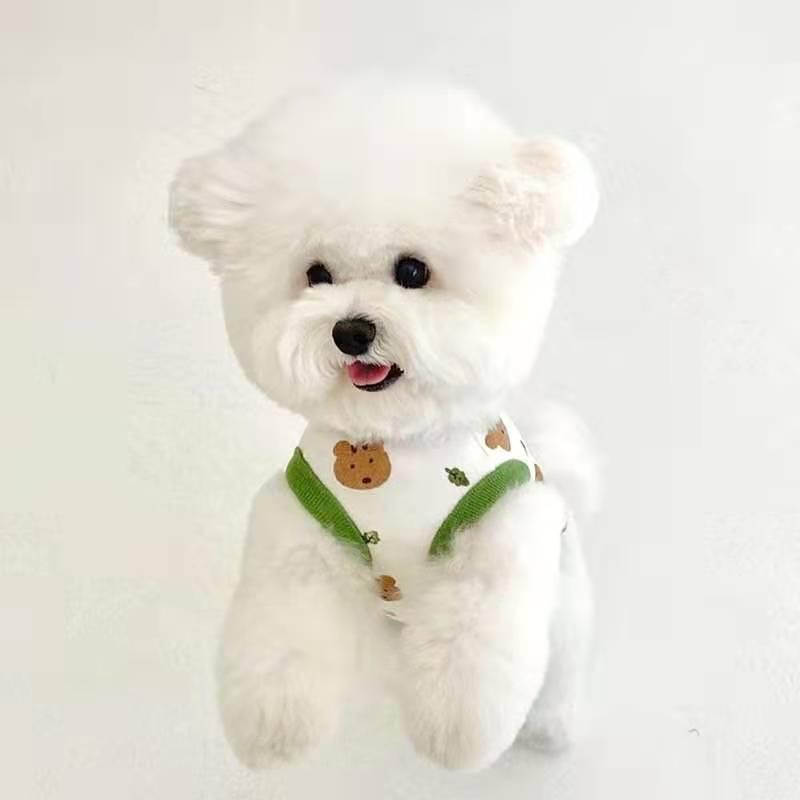 Product Introduction of Áo Vest Cho Chó, Thiết Kế Gấu Bông Teddy, Mèo, Pomeranian, Schnauzer, Chó Nhỏ, Quần Áo Thú Cưng, Thích Hợp Cho Mùa Hè, Hàng Mỏng 6