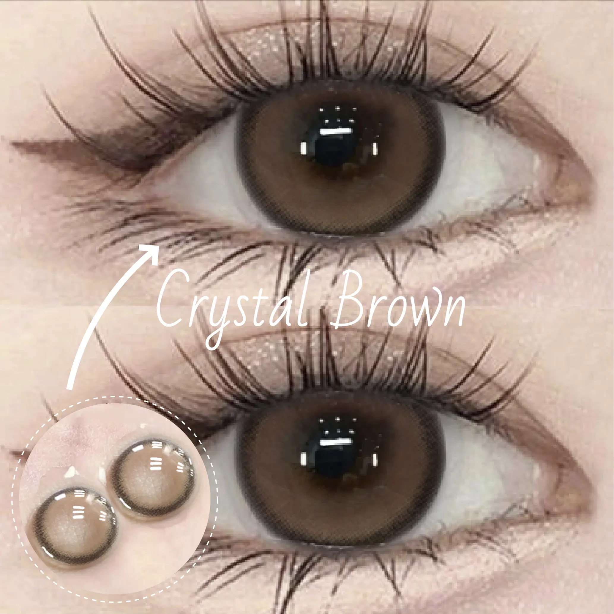 【COD】Mayseeday  contact lens with grade brown contact lens natural contact lenses doll eye contact lenses 2pcs/Pair 0~600 degrees crystal brown Color Contact Lens Cosplay lens Cosmetics for Eyes Contact Lenses 14.2mm Case