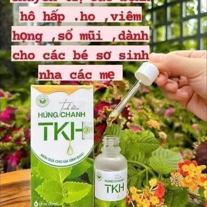 Tinh dầu húng tranh.Tinh dầu Húng Tranh Trần Kim Huyền