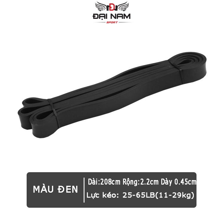 Dây Kháng Lực Tập Gym Powerband Tập Toàn Thân Đa Năng Chính Hãng Đại Nam Sport (Hàng Xịn) 4