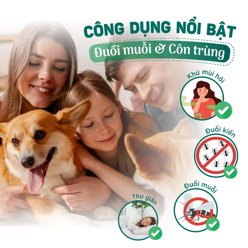 Xịt Phòng Đuổi Muỗi Và Côn Trùng Tinh Dầu Sả Chanh VUATINHDAU 280ml Khử Mùi,Đuổi Muỗi Thơm Phòng Ngủ 4