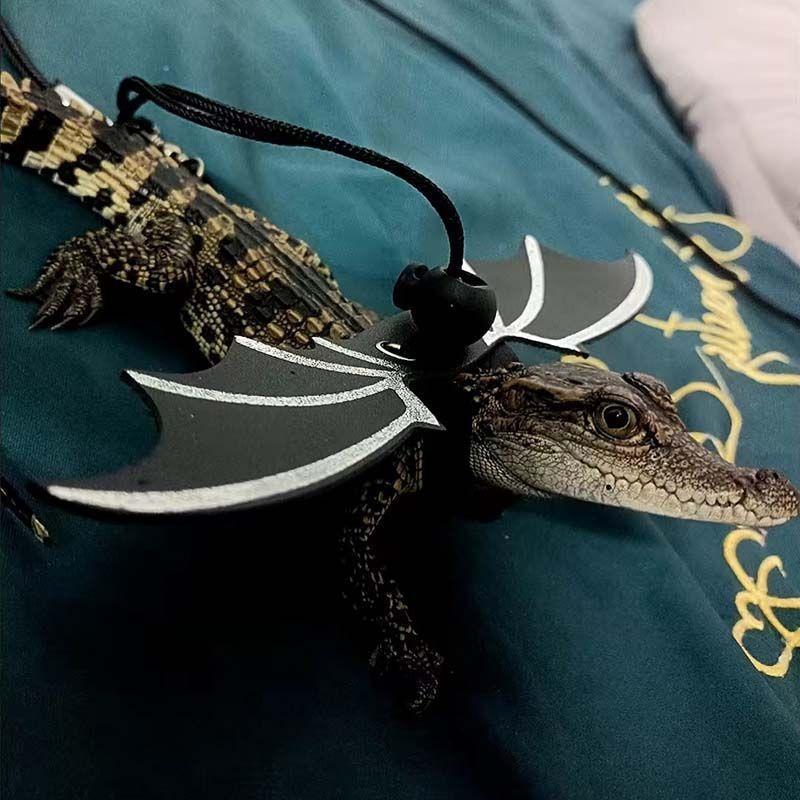 Product Introduction of [Three-Piece Set] Little Crocodile Lizard Outdoor Costume Little Devil Leash with Wings Reptile Little Crocodile Clothes 13